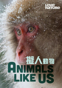 پوستر Animals Like Us 2024